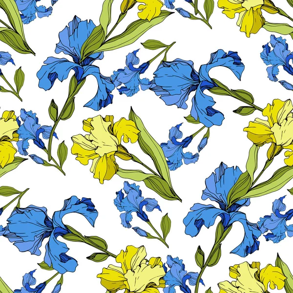 Iris Vectorial Amarilla Azul Flores Silvestres Coloridas Aisladas Blanco Arte — Archivo Imágenes Vectoriales