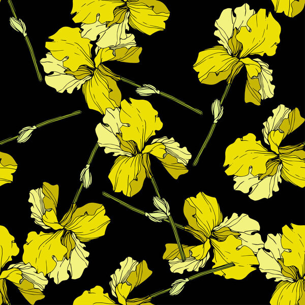 Vector yellow Irises isolated on black. Colorful wildflowers. Engraved ink art. Seamless background pattern. Wallpaper print texture