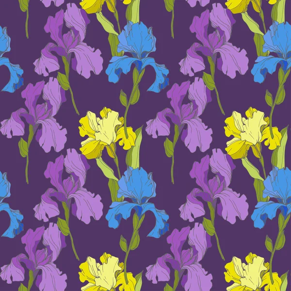 Iris Vectoriales Sobre Fondo Púrpura Flores Silvestres Colores Arte Tinta — Vector de stock