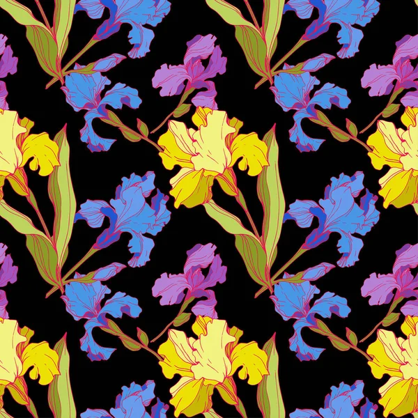 Iris Vectoriales Aislados Negro Flores Silvestres Colores Arte Tinta Grabada — Vector de stock