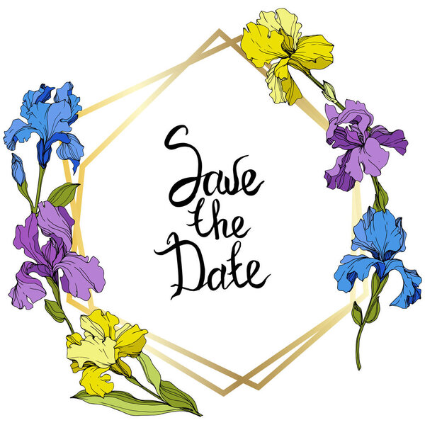 Vector Purple, yellow and blue irises. Colorful wildflowers isolated on white. Engraved ink art. Frame border with 'save the date' lettering