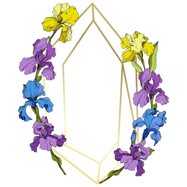 Vector Lirios Púrpura Amarillo Azul Flores Silvestres Coloridas Aisladas Blanco — Vector de stock