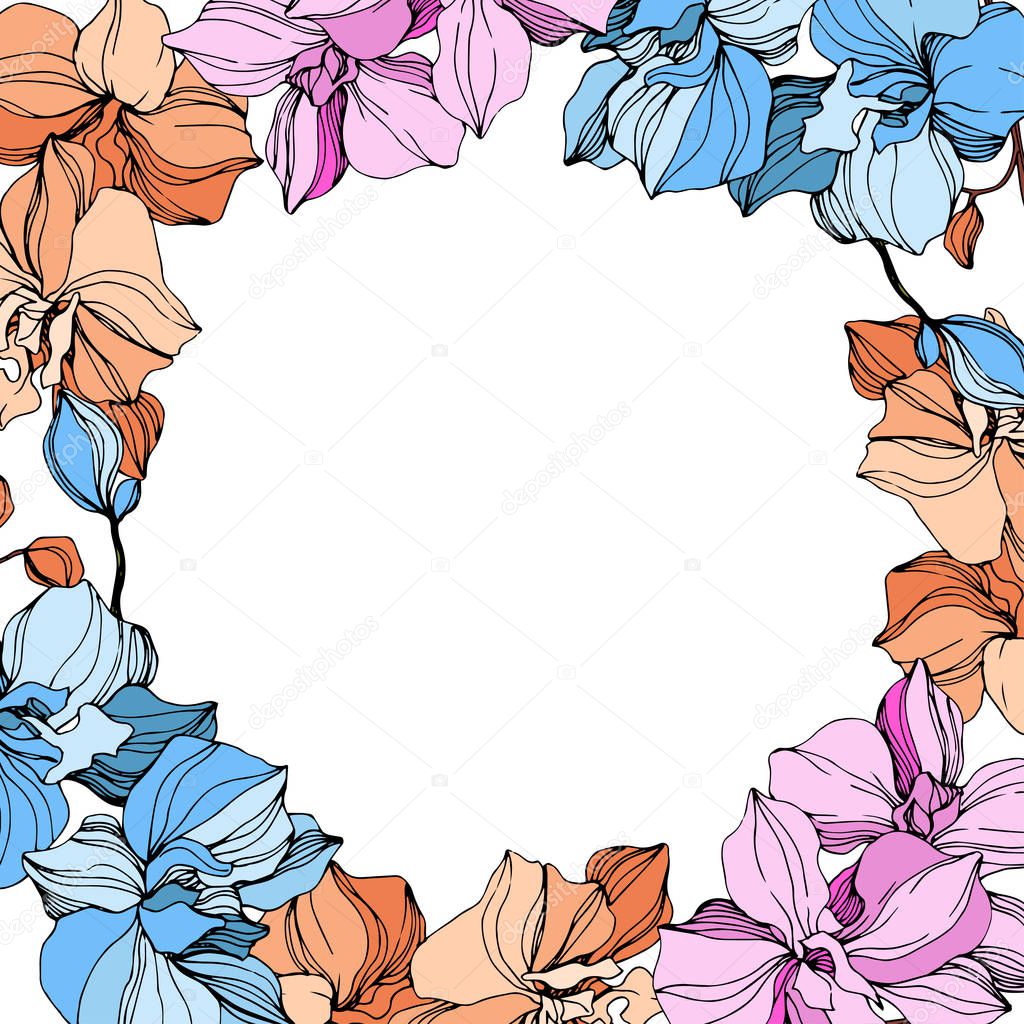 Vector pink, orange and blue orchids. Wildflowers isolated on white. Engraved ink art. Floral frame border 