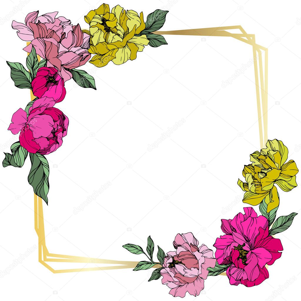 Vector Pink and yellow peonies. Wildflowers isolated on white. Engraved ink art. Floral frame border 