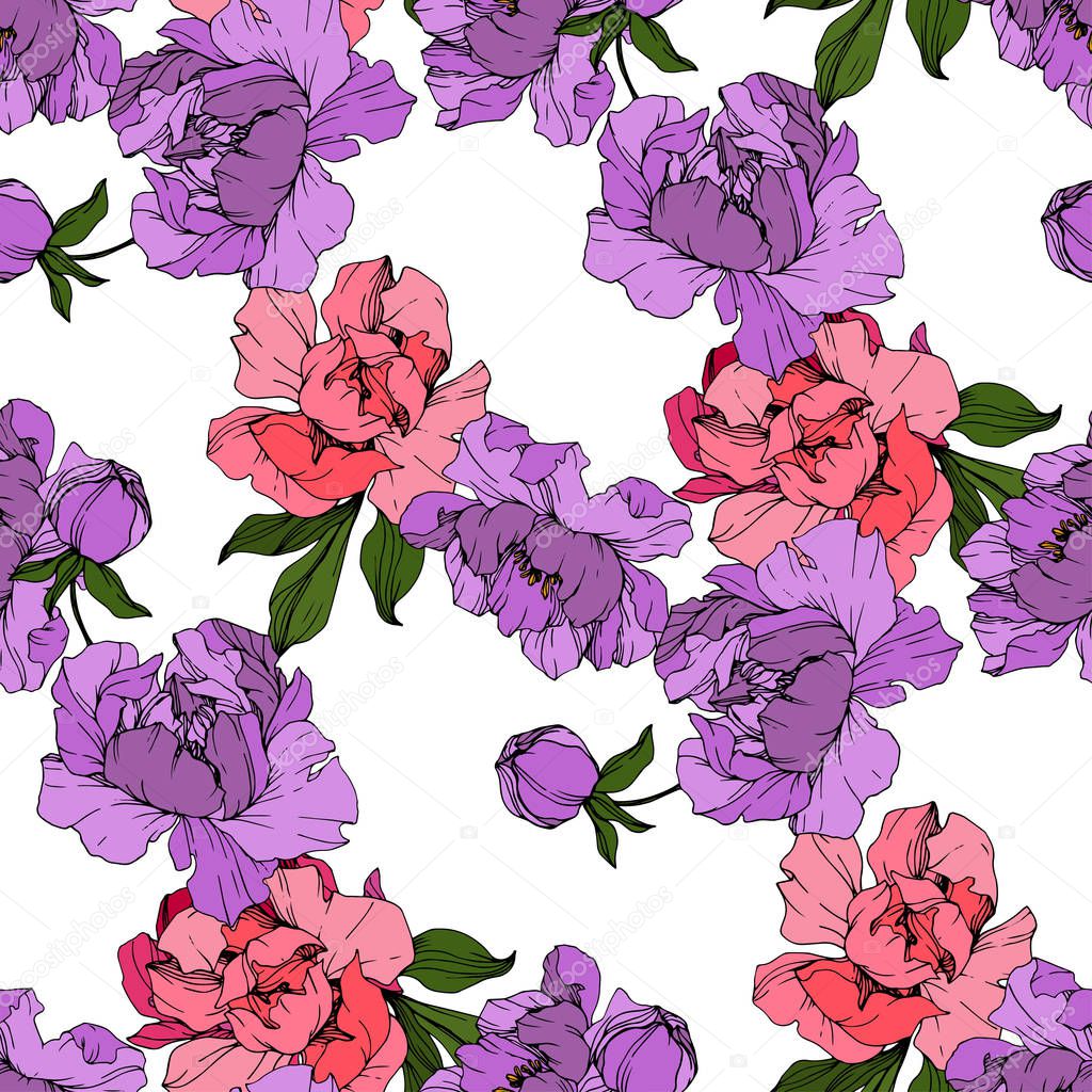 Vector Pink and purple peonies. Wildflowers isolated on white. Engraved ink art. Seamless background pattern. Wallpaper print texture.