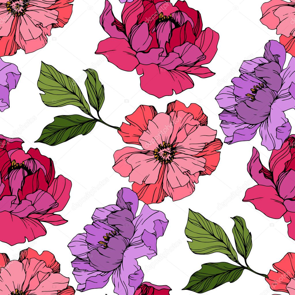 Vector Pink and purple peonies. Wildflowers isolated on white. Engraved ink art. Seamless background pattern. Wallpaper print texture.