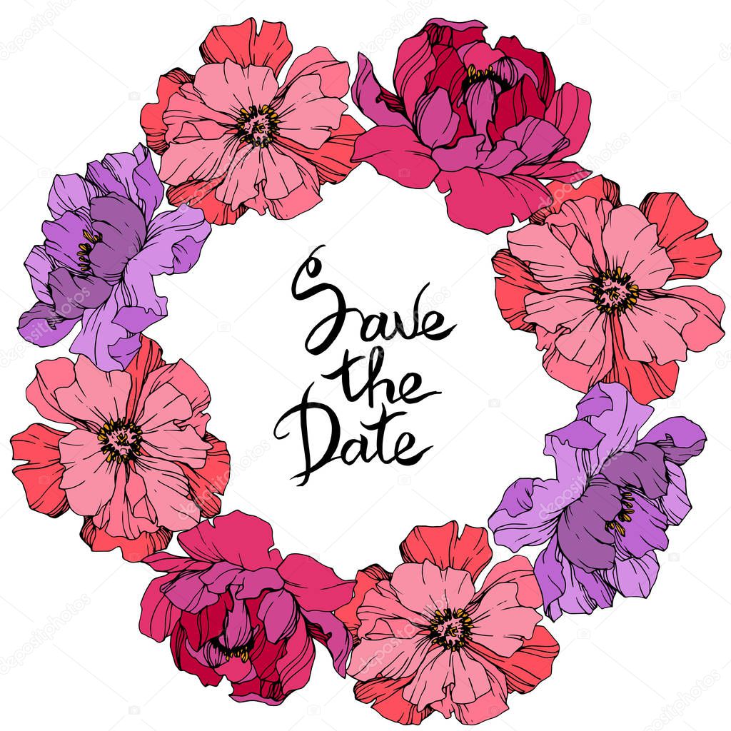 Vector Pink and purple peonies. Wildflowers isolated on white. Engraved ink art. Floral frame border with 'save the date' lettering
