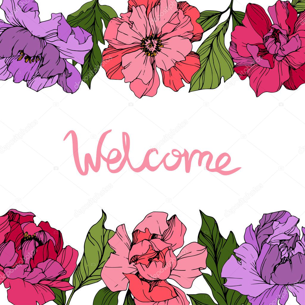 Vector Pink and purple peonies. Wildflowers isolated on white. Engraved ink art. Floral frame border with 'welcome' lettering