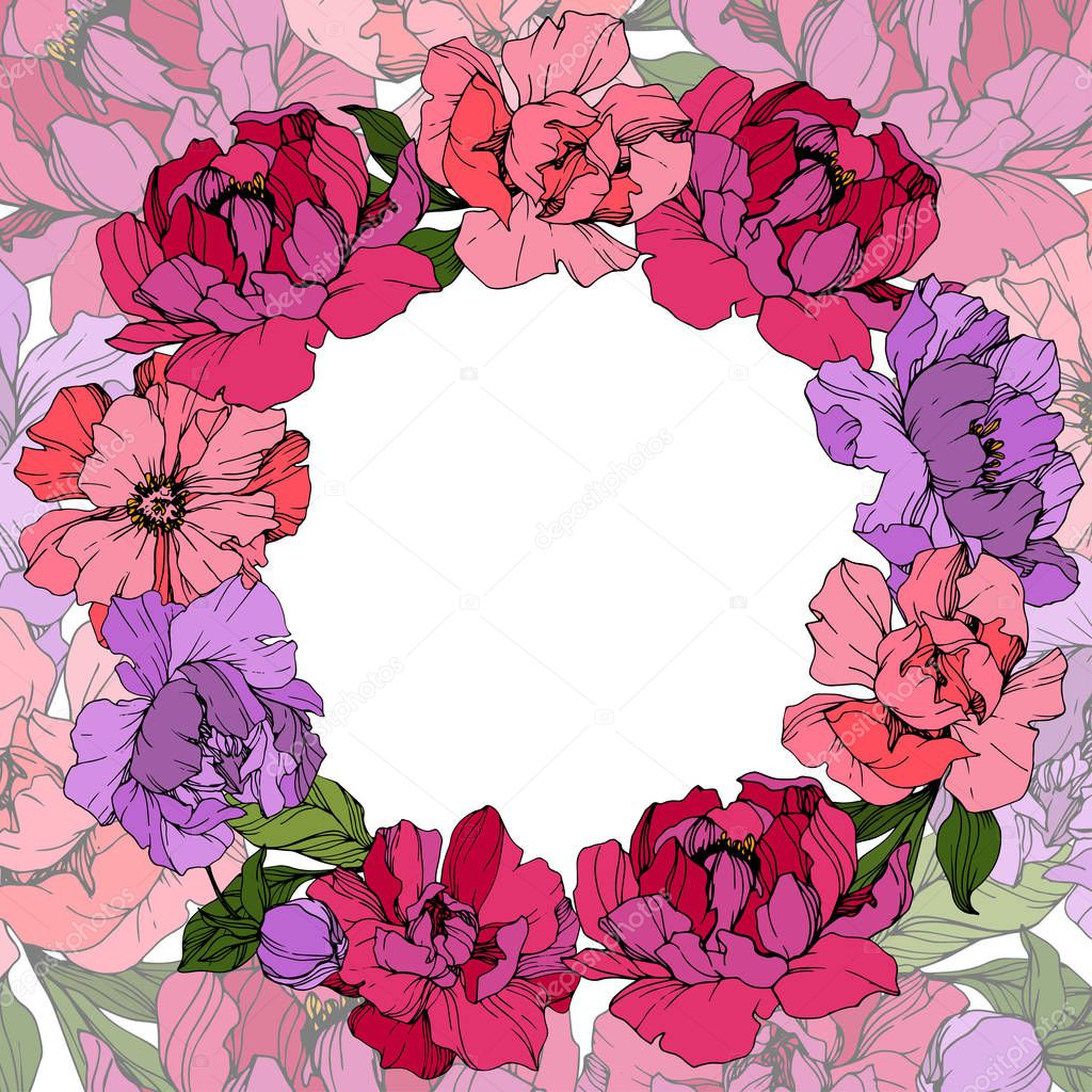 Vector Pink and purple peonies. Wildflowers isolated on white. Engraved ink art. Floral frame border 