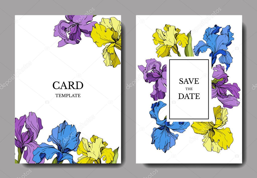 Vector irises. Engraved ink art. Wedding cards with decorative flowers on background. Invitation cards graphic set banner