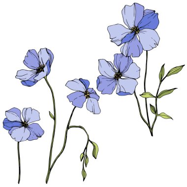 Vector Blue flax. Spring wildflowers isolated on white. Engraved ink art.  clipart