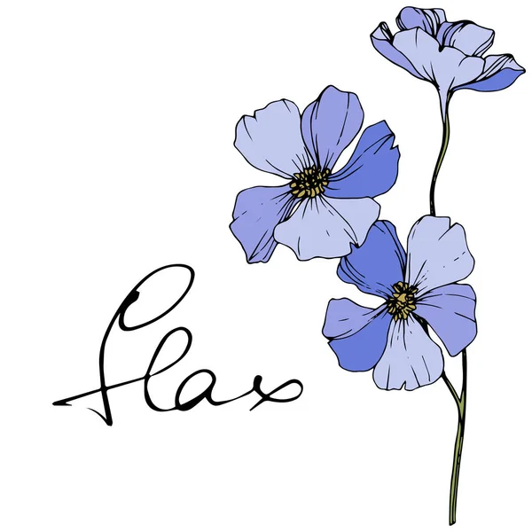 Vector Blue Flax Spring Wildflowers Isolated White Engraved Ink Art — Stock Vector