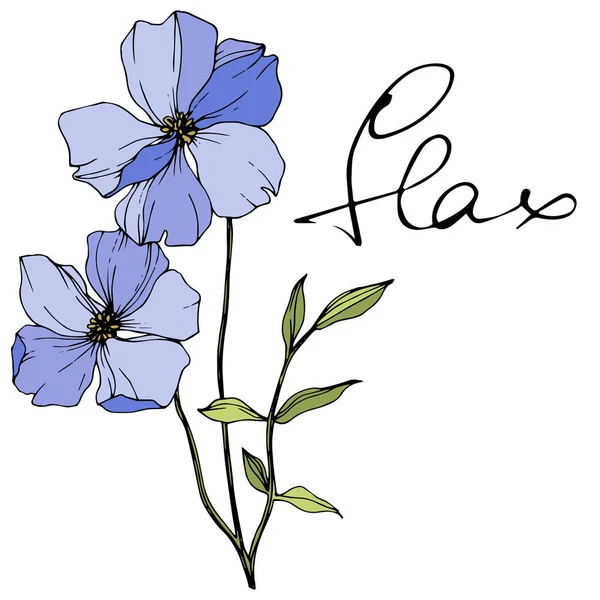 Vector Blue Flax Spring Wildflowers Isolated White Engraved Ink Art — Stock Vector