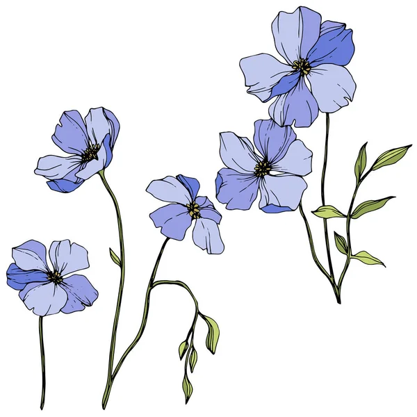 Vector Blue Flax Spring Wildflowers Isolated White Engraved Ink Art — Stock Vector