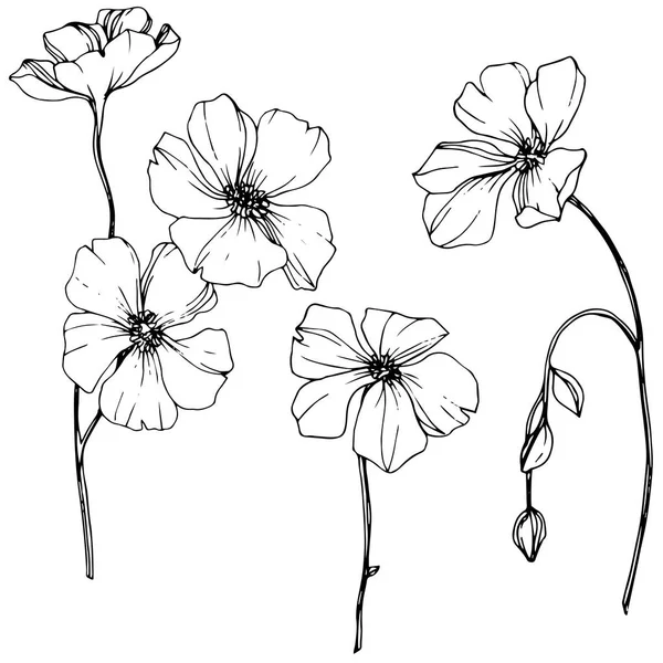 Vektorflachs Wildblumen Isoliert Auf Weiß Schwarz Weiß Gravierte Tuschekunst — Stockvektor