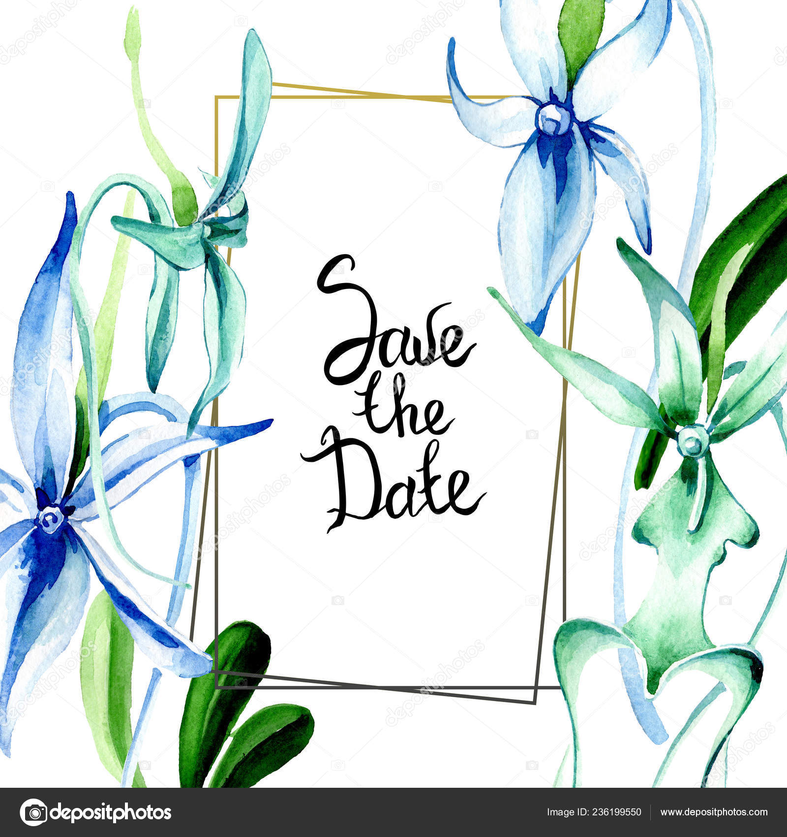 Orchidée Rare Bleue Fleur Botanique Floral Wildflower