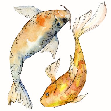 Sulu boya su sualtı renkli tropikal balık seti. Kızıldeniz ve egzotik balıkları içinde: Goldfish. Aquarelle öğeler için arka plan, doku. İzole goldenfish illüstrasyon öğesi.