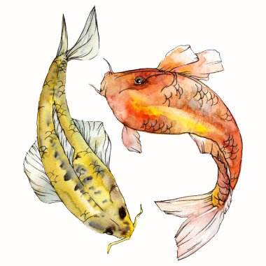 Sulu boya su sualtı renkli tropikal balık seti. Kızıldeniz ve egzotik balıkları içinde: Goldfish. Aquarelle öğeler için arka plan, doku. İzole goldenfish illüstrasyon öğesi.