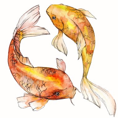 Sulu boya su sualtı renkli tropikal balık seti. Kızıldeniz ve egzotik balıkları içinde: Goldfish. Aquarelle öğeler için arka plan, doku. İzole goldenfish illüstrasyon öğesi.