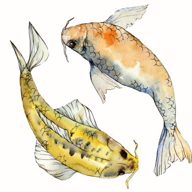Sulu boya su sualtı renkli tropikal balık seti. Kızıldeniz ve egzotik balıkları içinde: Goldfish. Aquarelle öğeler için arka plan, doku. İzole goldenfish illüstrasyon öğesi.