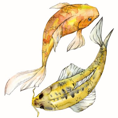 Sulu boya su sualtı renkli tropikal balık seti. Kızıldeniz ve egzotik balıkları içinde: Goldfish. Aquarelle öğeler için arka plan, doku. İzole goldenfish illüstrasyon öğesi.