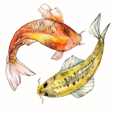 Sulu boya su sualtı renkli tropikal balık seti. Kızıldeniz ve egzotik balıkları içinde: Goldfish. Aquarelle öğeler için arka plan, doku. İzole goldenfish illüstrasyon öğesi.