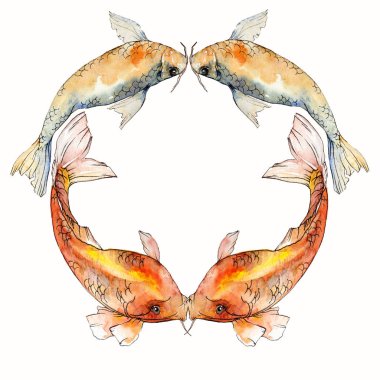 Sulu boya su sualtı renkli tropikal balık seti. Kızıldeniz ve egzotik balıkları içinde: Goldfish. Aquarelle öğeler için arka plan, doku, sarıcı desen. Çerçeve kenarlığı süsleme Meydanı.