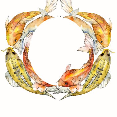 Sulu boya su sualtı renkli tropikal balık seti. Kızıldeniz ve egzotik balıkları içinde: Goldfish. Aquarelle öğeler için arka plan, doku, sarıcı desen. Çerçeve kenarlığı süsleme Meydanı.