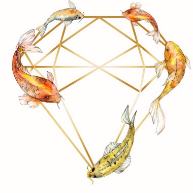 Sulu boya su sualtı renkli tropikal balık seti. Kızıldeniz ve egzotik balıkları içinde: Goldfish. Aquarelle öğeler için arka plan, doku, sarıcı desen. Çerçeve kenarlığı süsleme Meydanı.