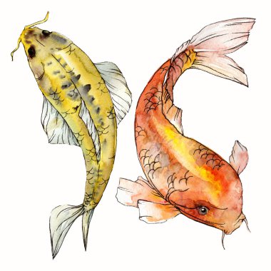 Sulu boya su sualtı renkli tropikal balık seti. Kızıldeniz ve egzotik balıkları içinde: Goldfish. Aquarelle öğeler için arka plan, doku. İzole goldenfish illüstrasyon öğesi.