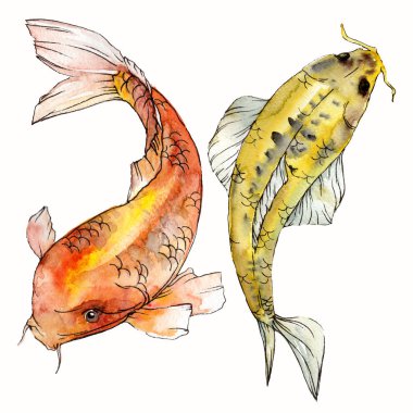 Sulu boya su sualtı renkli tropikal balık seti. Kızıldeniz ve egzotik balıkları içinde: Goldfish. Aquarelle öğeler için arka plan, doku. İzole goldenfish illüstrasyon öğesi.