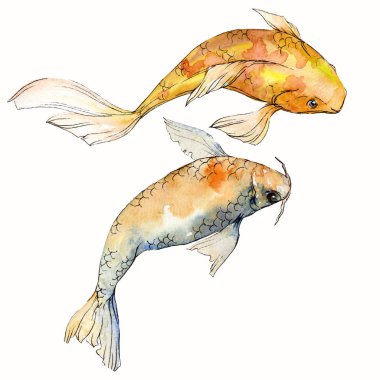 Sulu boya su sualtı renkli tropikal balık seti. Kızıldeniz ve egzotik balıkları içinde: Goldfish. Aquarelle öğeler için arka plan, doku. İzole goldenfish illüstrasyon öğesi.