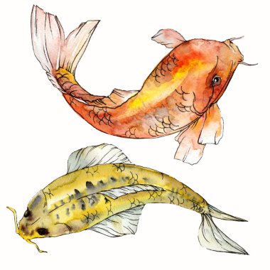 Sulu boya su sualtı renkli tropikal balık seti. Kızıldeniz ve egzotik balıkları içinde: Goldfish. Aquarelle öğeler için arka plan, doku. İzole goldenfish illüstrasyon öğesi.
