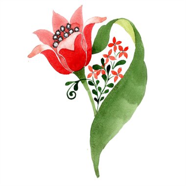 Kırmızı botanik çiçek. Vahşi bahar yaprak izole kır çiçeği. Suluboya arka plan illüstrasyon küme. Suluboya çizim moda aquarelle izole. İzole süsleme illüstrasyon öğesi.