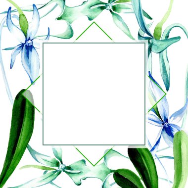 Mavi nadir orkide. Botanik çiçek. Vahşi bahar yaprak izole kır çiçeği. Suluboya arka plan illüstrasyon küme. Suluboya çizim moda aquarelle izole. Çerçeve kenarlığı süsleme Meydanı.