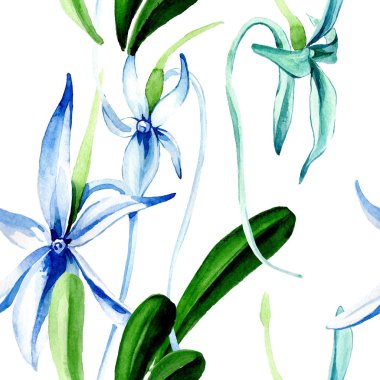 Mavi nadir orkide. Botanik çiçek. Vahşi bahar yaprak. Suluboya resim kümesi. Suluboya çizim moda aquarelle izole. Sorunsuz arka plan deseni. Kumaş duvar kağıdı yazdırma doku.