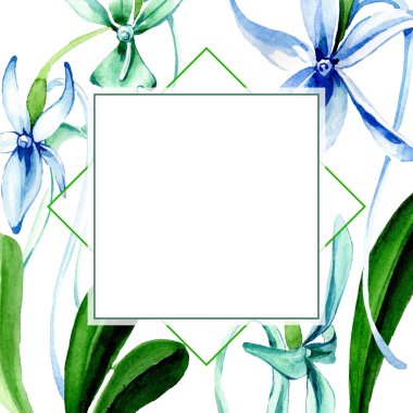 Mavi nadir orkide. Botanik çiçek. Vahşi bahar yaprak izole kır çiçeği. Suluboya arka plan illüstrasyon küme. Suluboya çizim moda aquarelle izole. Çerçeve kenarlığı süsleme Meydanı.
