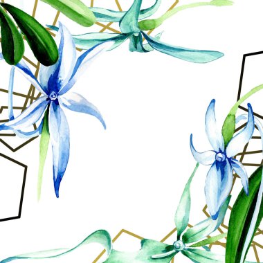 Mavi nadir orkide. Botanik çiçek. Vahşi bahar yaprak izole kır çiçeği. Suluboya arka plan illüstrasyon küme. Suluboya çizim moda aquarelle izole. Çerçeve kenarlığı süsleme Meydanı.