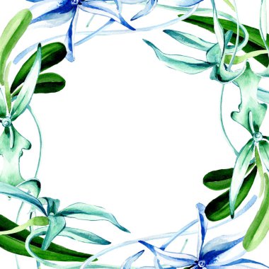 Mavi nadir orkide. Botanik çiçek. Vahşi bahar yaprak izole kır çiçeği. Suluboya arka plan illüstrasyon küme. Suluboya çizim moda aquarelle izole. Çerçeve kenarlığı süsleme Meydanı.