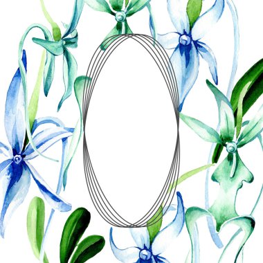 Mavi nadir orkide. Botanik çiçek. Vahşi bahar yaprak izole kır çiçeği. Suluboya arka plan illüstrasyon küme. Suluboya çizim moda aquarelle izole. Çerçeve kenarlığı süsleme Meydanı.