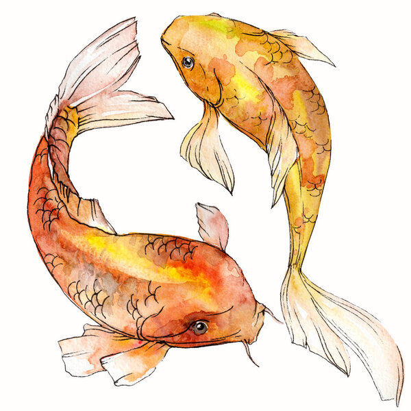 Watercolor aquatic underwater colorful tropical fish set. Red sea and exotic fishes inside: Goldfish. Aquarelle elements for background, texture. Isolated goldenfish illustration element.