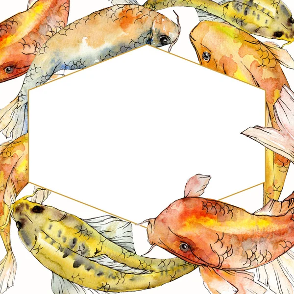 ดปลาเขตร อนส าใต ทะเลแดงและปลาแปลกใหม ภายใน ปลาทอง องค ประกอบ Aquarelle าหร — ภาพถ่ายสต็อก