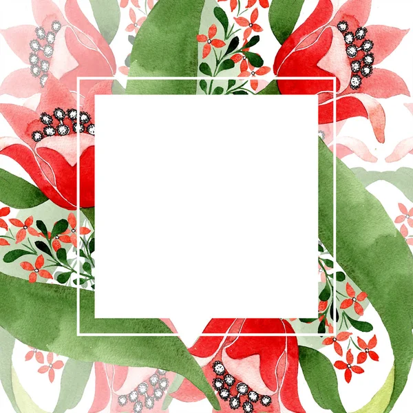 Rote Blühende Botanische Blume Wildes Frühlingsblatt Wildblume Isoliert Aquarell Hintergrundillustration — Stockfoto