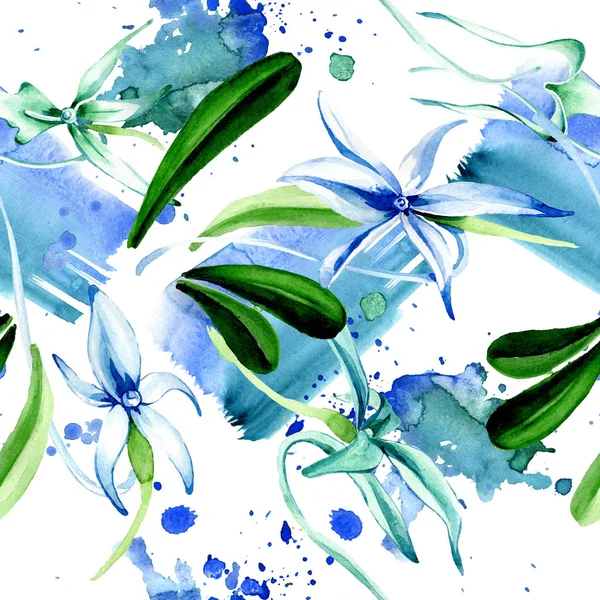 Orhidee Albastră Rară Flori Botanice Florale Frunză Sălbatică Primăvară Set — Fotografie, imagine de stoc