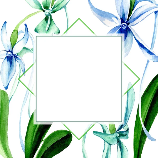 青の稀な蘭 花植物の花 野生春葉のワイルドフラワーが分離されました 水彩画背景イラスト セット 水彩描画のファッション Aquarelle 分離します フレーム枠飾りスクエア — ストック写真