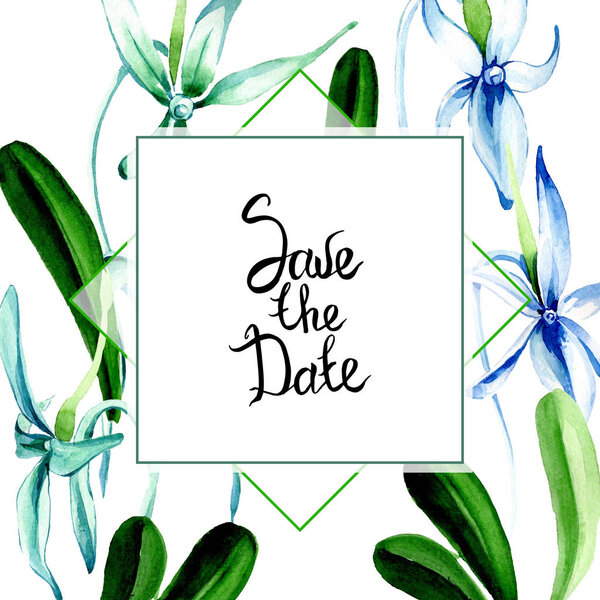 Синяя редкая орхидея. Цветочный ботанический цветок. Дикий весенний цветок изолирован. Набор акварельных фонов. Акварель акварель акварель изолирована. Граничный орнамент
.
