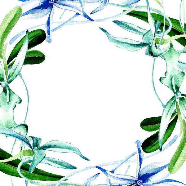 Синяя редкая орхидея. Цветочный ботанический цветок. Дикий весенний цветок изолирован. Набор акварельных фонов. Акварель акварель акварель изолирована. Граничный орнамент
.