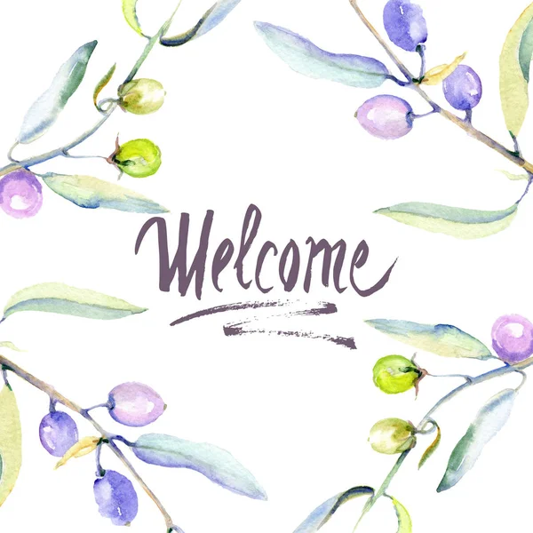 Olives Watercolor Background Illustration Set Frame Border Ornament Inscription — Stock Photo, Image