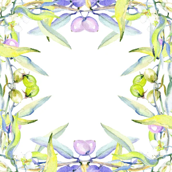 Olive Acquerello Sfondo Illustrazione Set Ornamento Bordo Cornice Con Spazio — Foto Stock