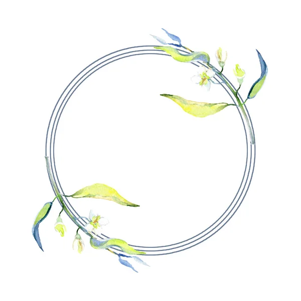 Olive Acquerello Sfondo Illustrazione Set Ornamento Bordo Cornice Con Spazio — Foto Stock